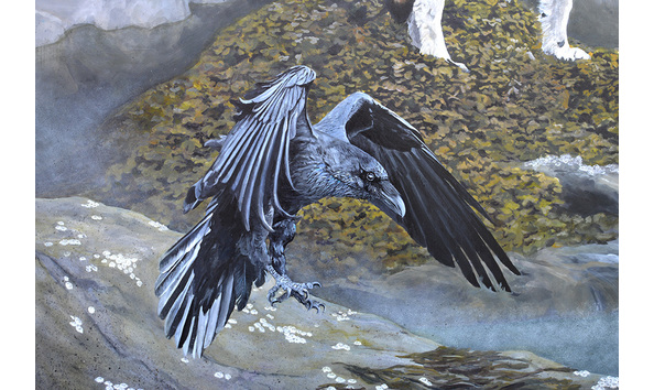 Big image ingoodcompanydetail1