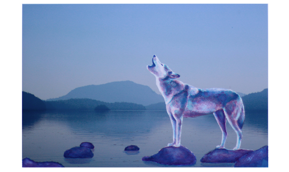 Big image wolf cry for peace fixed