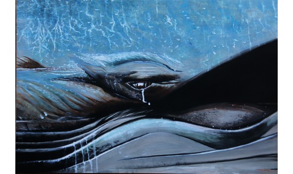 Big image pacificwild