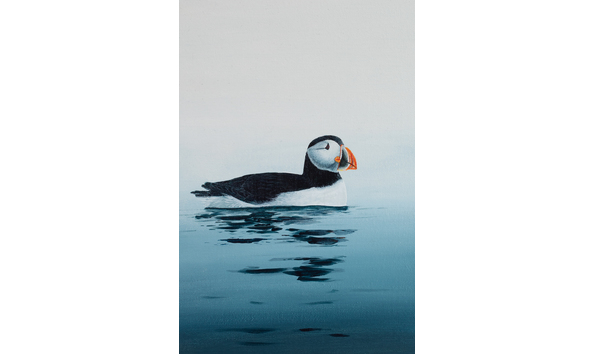 Big image 0u2a3108 3