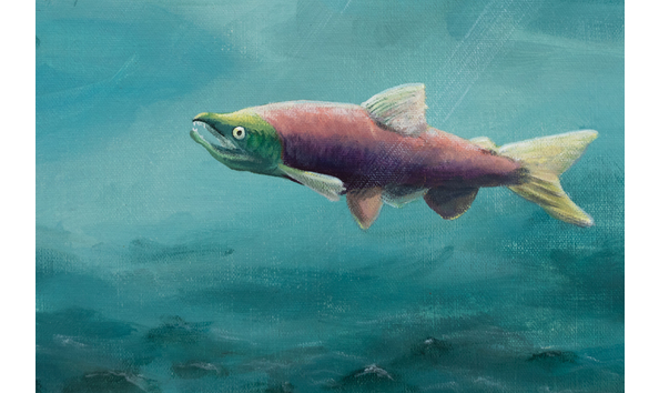 Big image 0u2a3122 2