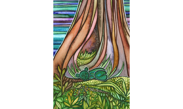 Big image bear night   tamara phillips crop2 