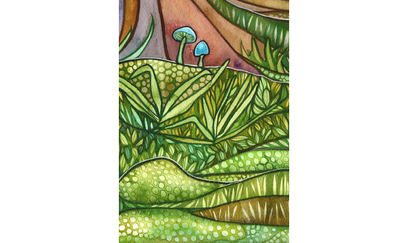 Big image bear night   tamara phillips crop3 