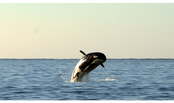 Big image dsc 8679 3