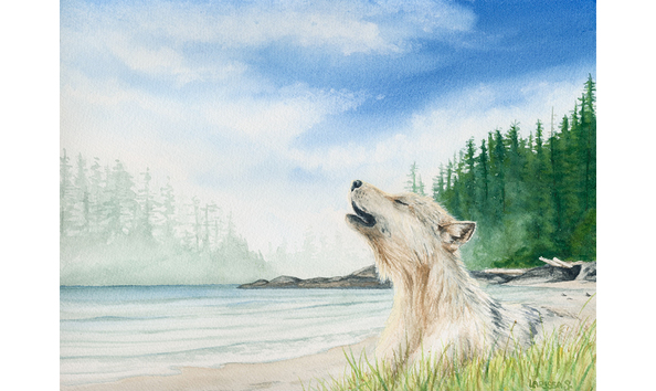 Big image songoftheseawolf 1main