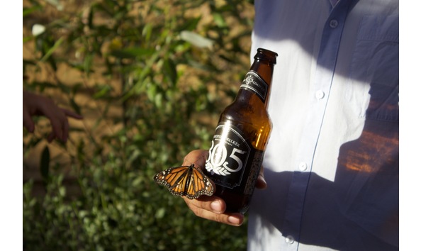 Big image img 4660  1 