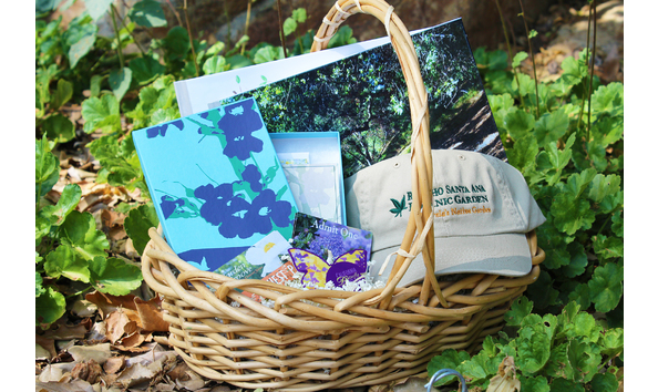 Big image rsabg basket