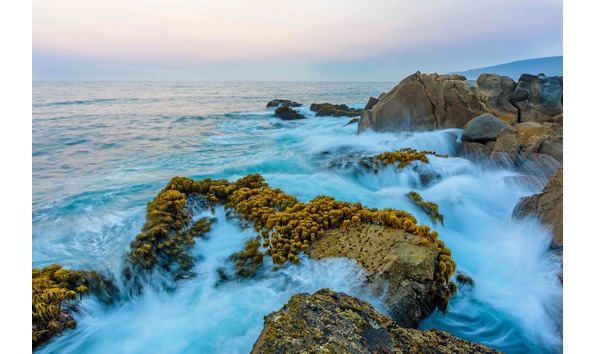 Big image ocean energy josh asel