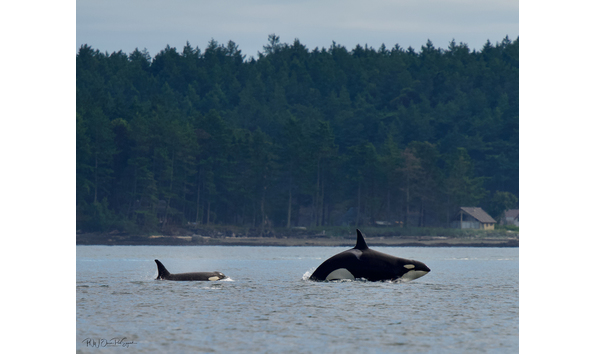 Big image 88bfa02a fbd4 4a94 9e5b 80c4b6505b18