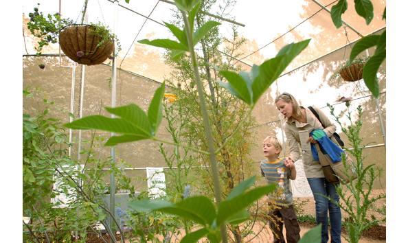 Big image butterfly pavilion 3