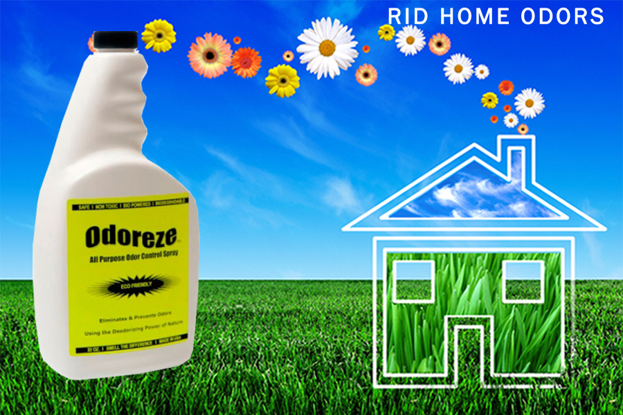 ODOREZE Natural House Odor Eliminator Spray Makes 64 Gallons to Clean