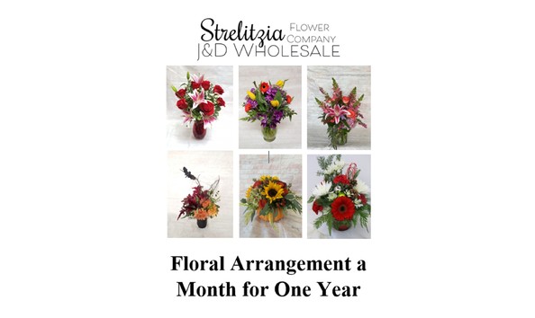 Big image strelitzia