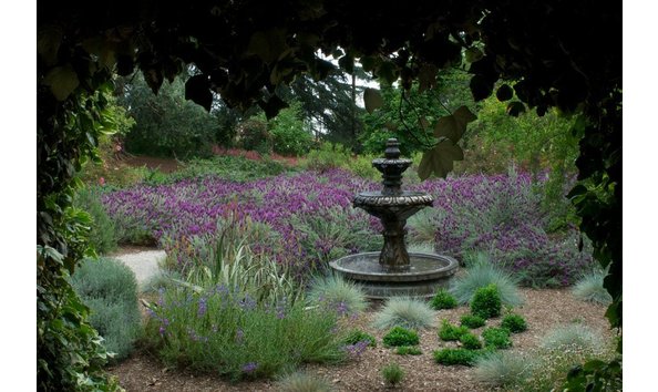 Big image wynne wilson 2