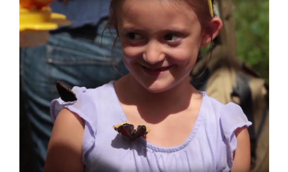 Big image butterfly pavilion