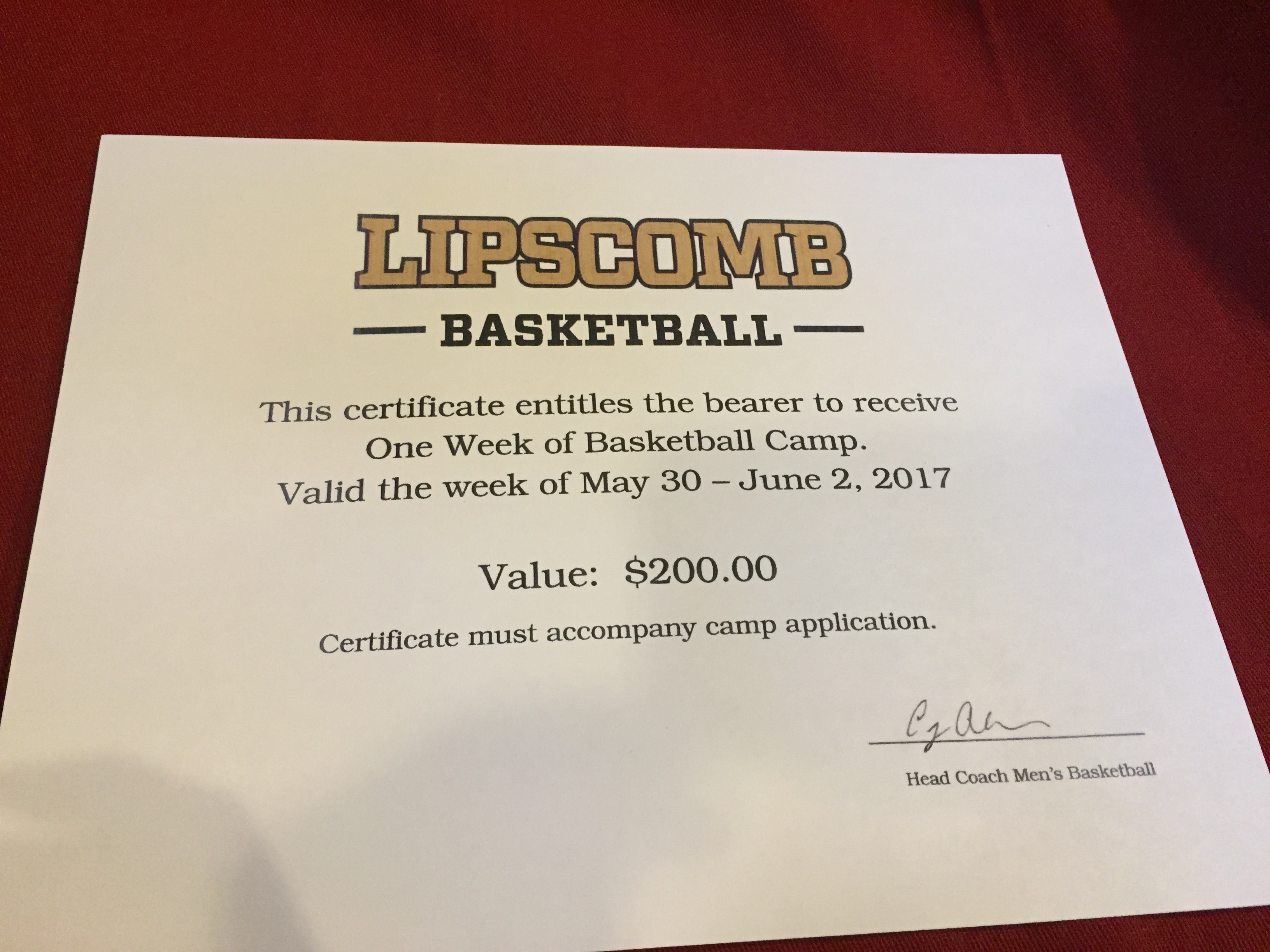 University Basketball Camp