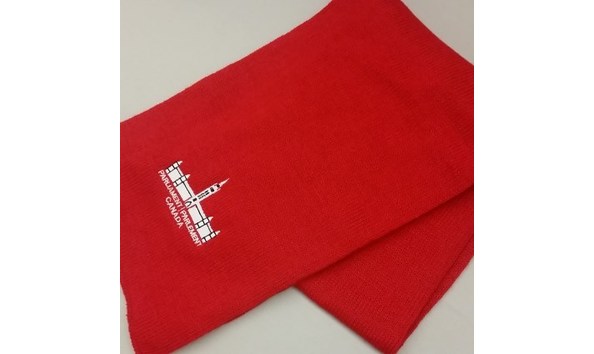 Big image parliamentary scarf