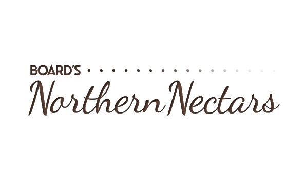 Big image board s logo