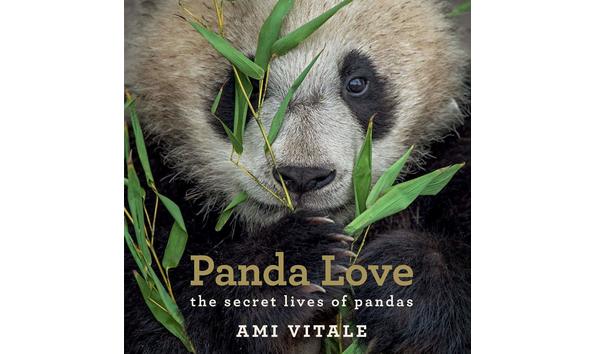 Big image panda love