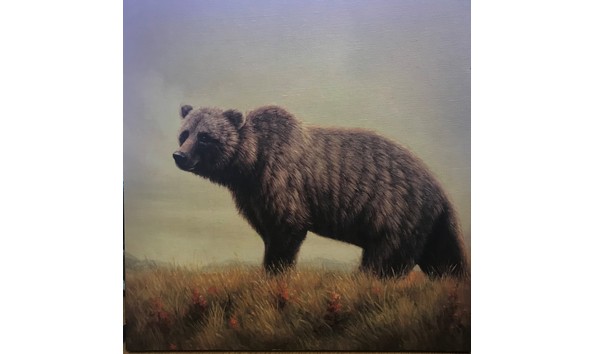 Big image bear