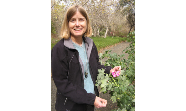 Big image mcdade lucinda jan08 1