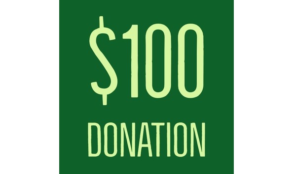 Big image 100 donate