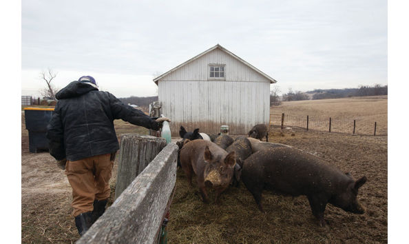 Big image pavelka meat