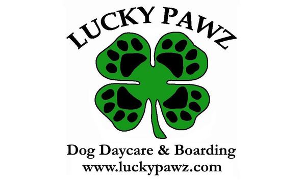 Big image lucky pawz