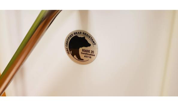 Big image 20201113 125251