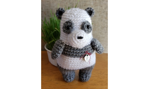 Big image 20201111 135619