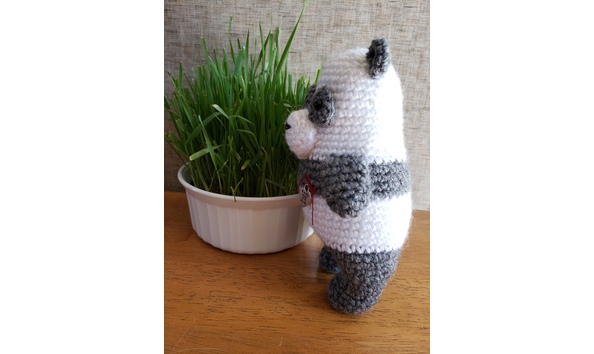 Big image 20201111 135700