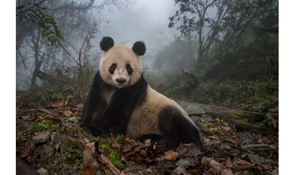 Big image pos01 mm8391 151030 3351001  