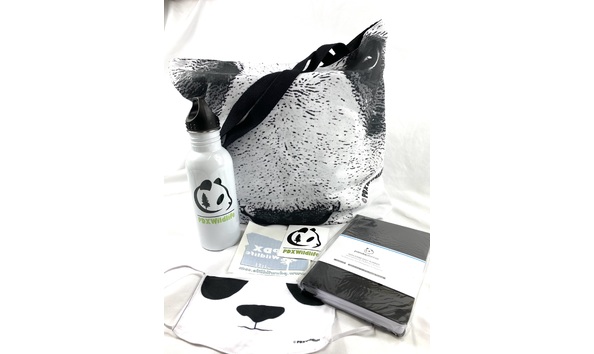 Big image mini magick20201116 129824 mtc7gk