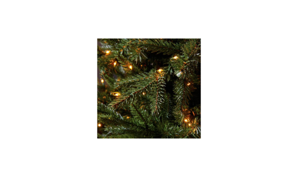 Big image download  3 