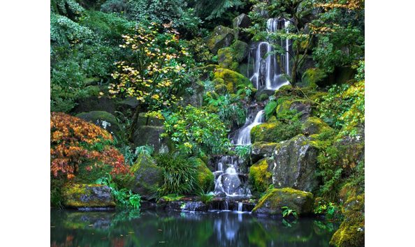 Big image portland japanese gardens