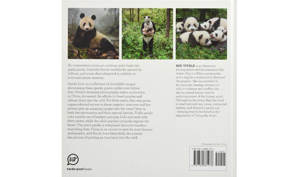 Big image panda love back