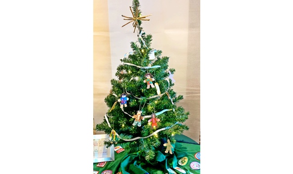 Big image 1 girl scouts