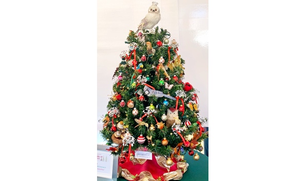 Big image 8 birds bugs