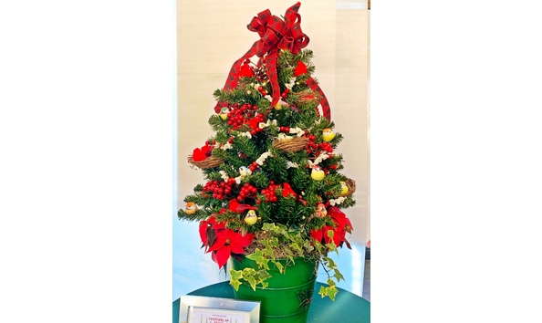 Big image 15 sam bridge