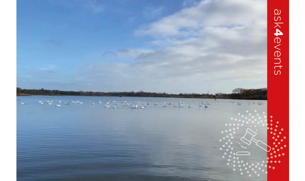 Big image auction images 2020 105