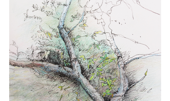 Big image bench drawing detail