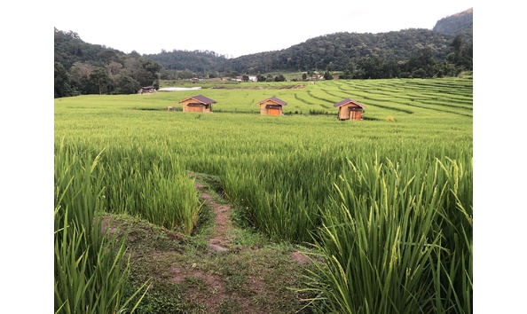 Big image tuk tuk club images  3 