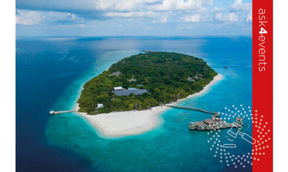 Big image auction images 2020 137