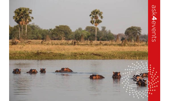 Big image auction images 2020 131