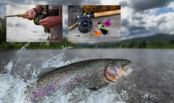 Big image fishing auction item