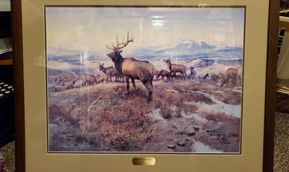 Big image fishing auction item  1 