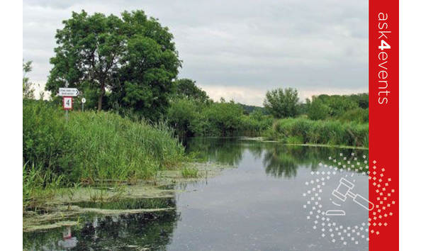 Big image auction images 2020 145