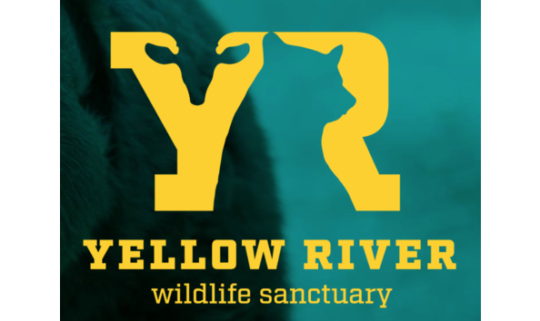 Big image screen shot 2020 11 27 at 7.21.07 am