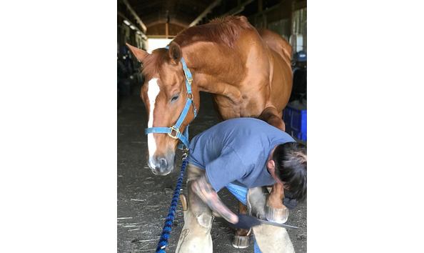 Big image mini magick20201202 10331 4l7xii