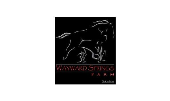 Big image mini magick20201202 10331 4r77ml