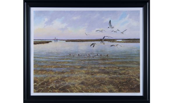 Big image rcad.aa.a.barnes.final.approach